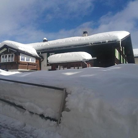 Walser Chalet Casa Paterna Дизентис Экстерьер фото